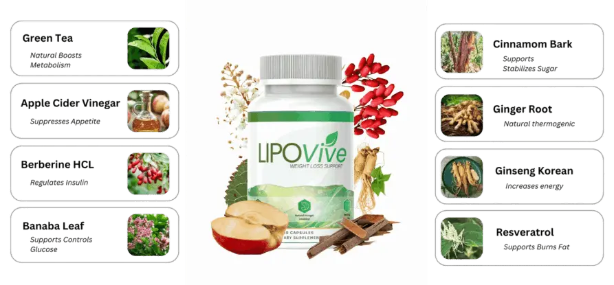 Ikaria Lean Belly Juice lipovive ingredients